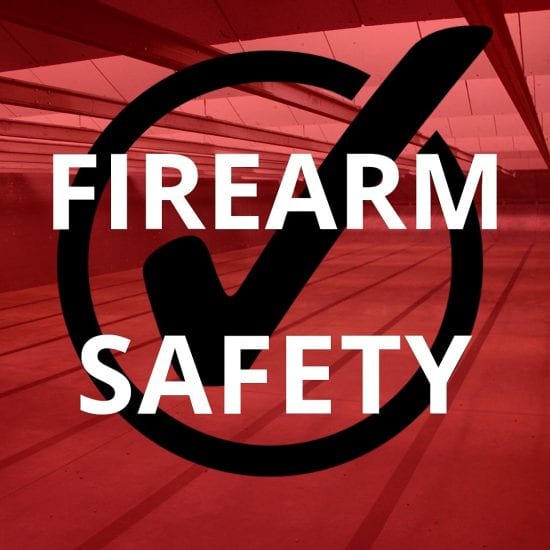 Online Firearms Safety Class Personal Protection 4Ward Defense